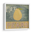 Stand De Granja V - June Erica Vess | Cuadro decorativo de Canvas Lab