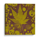 Expresiones De Botánica Ii - Irena Orlov | Cuadro decorativo de Canvas Lab