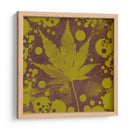 Expresiones De Botánica Ii - Irena Orlov | Cuadro decorativo de Canvas Lab