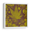 Expresiones De Botánica Ii - Irena Orlov | Cuadro decorativo de Canvas Lab