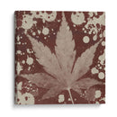 Expresiones De Botánicas Iv - Irena Orlov | Cuadro decorativo de Canvas Lab