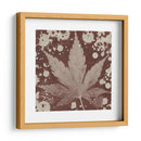 Expresiones De Botánicas Iv - Irena Orlov | Cuadro decorativo de Canvas Lab