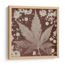 Expresiones De Botánicas Iv - Irena Orlov | Cuadro decorativo de Canvas Lab