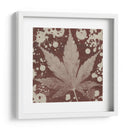 Expresiones De Botánicas Iv - Irena Orlov | Cuadro decorativo de Canvas Lab