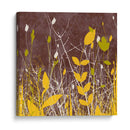 Expresiones De Botánica V - Irena Orlov | Cuadro decorativo de Canvas Lab