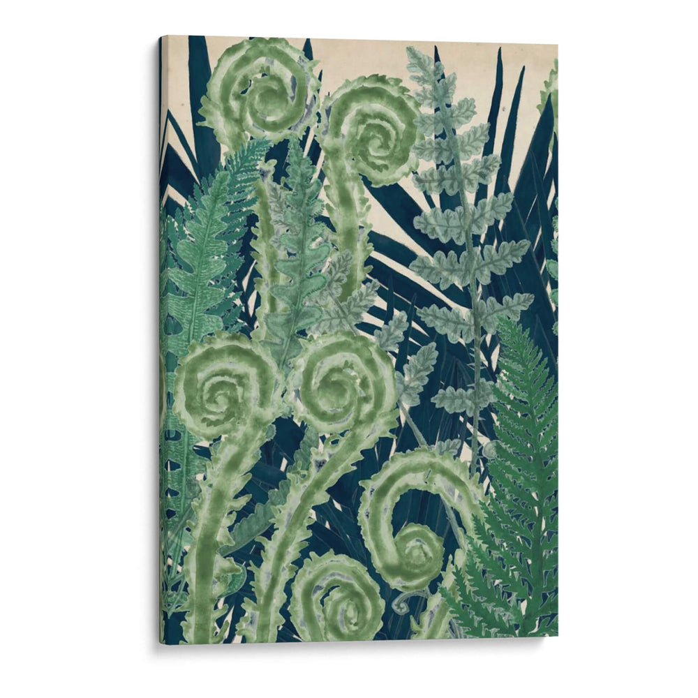 Fiddlehead Waltz I - Naomi McCavitt | Cuadro decorativo de Canvas Lab