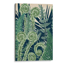 Fiddlehead Waltz I - Naomi McCavitt | Cuadro decorativo de Canvas Lab