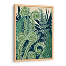 Fiddlehead Waltz I - Naomi McCavitt | Cuadro decorativo de Canvas Lab