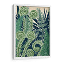 Fiddlehead Waltz I - Naomi McCavitt | Cuadro decorativo de Canvas Lab