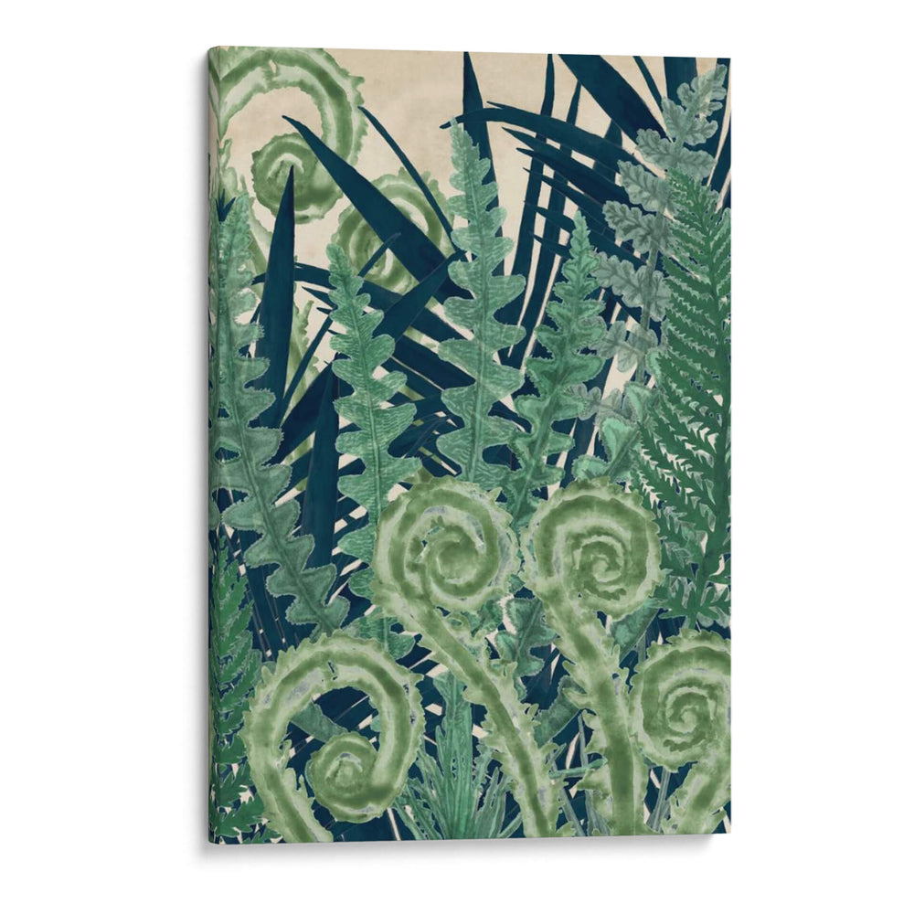 Fiddlehead Waltz Ii - Naomi McCavitt | Cuadro decorativo de Canvas Lab