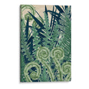 Fiddlehead Waltz Ii - Naomi McCavitt | Cuadro decorativo de Canvas Lab