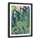 Fiddlehead Waltz Ii - Naomi McCavitt | Cuadro decorativo de Canvas Lab