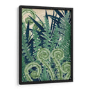 Fiddlehead Waltz Ii - Naomi McCavitt | Cuadro decorativo de Canvas Lab