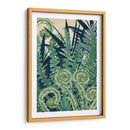 Fiddlehead Waltz Ii - Naomi McCavitt | Cuadro decorativo de Canvas Lab