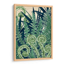 Fiddlehead Waltz Ii - Naomi McCavitt | Cuadro decorativo de Canvas Lab