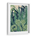 Fiddlehead Waltz Ii - Naomi McCavitt | Cuadro decorativo de Canvas Lab