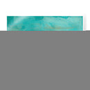 Hojas De Palma Vibrante I - Joyce Combs | Cuadro decorativo de Canvas Lab