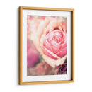 Arquitectura Griega Y Romana Iv - Sonja Quintero | Cuadro decorativo de Canvas Lab