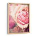 Arquitectura Griega Y Romana Iv - Sonja Quintero | Cuadro decorativo de Canvas Lab