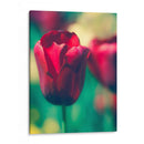 Arquitectura Griega Y Romana Vi - Sonja Quintero | Cuadro decorativo de Canvas Lab