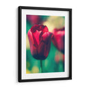 Arquitectura Griega Y Romana Vi - Sonja Quintero | Cuadro decorativo de Canvas Lab