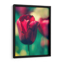 Arquitectura Griega Y Romana Vi - Sonja Quintero | Cuadro decorativo de Canvas Lab