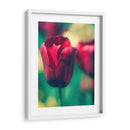 Arquitectura Griega Y Romana Vi - Sonja Quintero | Cuadro decorativo de Canvas Lab