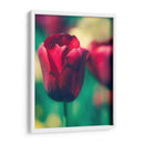 Arquitectura Griega Y Romana Vi - Sonja Quintero | Cuadro decorativo de Canvas Lab