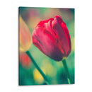 Arquitectura Griega Y Romana Vii - Sonja Quintero | Cuadro decorativo de Canvas Lab