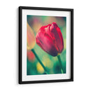 Arquitectura Griega Y Romana Vii - Sonja Quintero | Cuadro decorativo de Canvas Lab