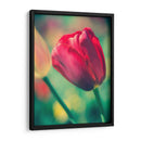 Arquitectura Griega Y Romana Vii - Sonja Quintero | Cuadro decorativo de Canvas Lab