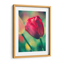 Arquitectura Griega Y Romana Vii - Sonja Quintero | Cuadro decorativo de Canvas Lab