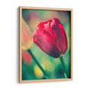 Arquitectura Griega Y Romana Vii - Sonja Quintero | Cuadro decorativo de Canvas Lab