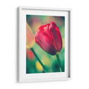 Arquitectura Griega Y Romana Vii - Sonja Quintero | Cuadro decorativo de Canvas Lab