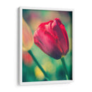 Arquitectura Griega Y Romana Vii - Sonja Quintero | Cuadro decorativo de Canvas Lab