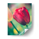 Arquitectura Griega Y Romana Vii - Sonja Quintero | Cuadro decorativo de Canvas Lab