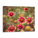 Arquitectura Griega Y Romana Ix - Sonja Quintero | Cuadro decorativo de Canvas Lab