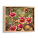 Arquitectura Griega Y Romana Ix - Sonja Quintero | Cuadro decorativo de Canvas Lab