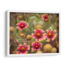 Arquitectura Griega Y Romana Ix - Sonja Quintero | Cuadro decorativo de Canvas Lab