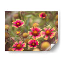 Arquitectura Griega Y Romana Ix - Sonja Quintero | Cuadro decorativo de Canvas Lab