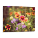 Nota Azul I - Sonja Quintero | Cuadro decorativo de Canvas Lab