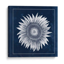 Horizonte Cerúleo En El Rancho De Mar - Grace Popp | Cuadro decorativo de Canvas Lab