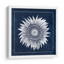 Horizonte Cerúleo En El Rancho De Mar - Grace Popp | Cuadro decorativo de Canvas Lab