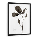 Journeymans Papers Iii - Jennifer Goldberger | Cuadro decorativo de Canvas Lab