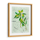 Por El Lago I - Melissa Wang | Cuadro decorativo de Canvas Lab