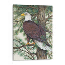 Prueba Prose Vi - Tim OToole | Cuadro decorativo de Canvas Lab