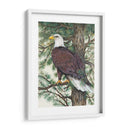 Prueba Prose Vi - Tim OToole | Cuadro decorativo de Canvas Lab