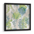 Piedras Acuáticas Ii - Jennifer Goldberger | Cuadro decorativo de Canvas Lab