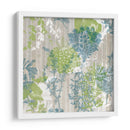 Piedras Acuáticas Ii - Jennifer Goldberger | Cuadro decorativo de Canvas Lab