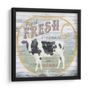 Pantalla Suculenta Ii - June Erica Vess | Cuadro decorativo de Canvas Lab